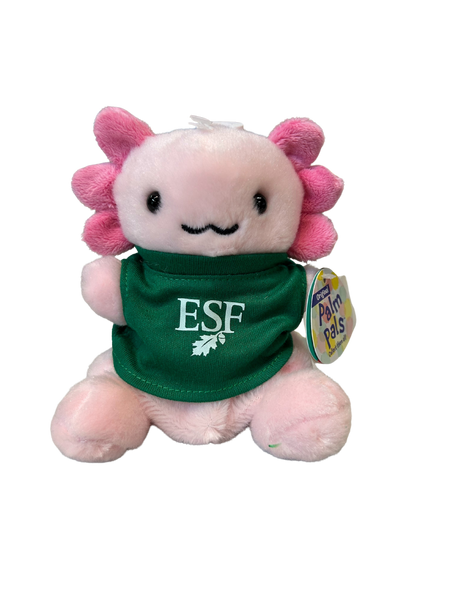 Stuffed Animal 5