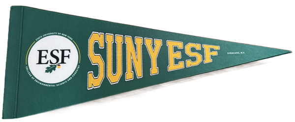 A green pennant featuring the ESF logo, which includes the text 'State University of New York College of Environmental Science and Forestry'. Next to that it says SUNY ESF, Syracuse, N.Y.