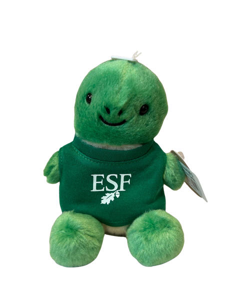 Sea turtle plush toy with 'ESF' leaf and acorn logo on a green shirt