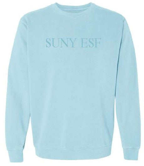 Light blue sweatshirt with 'SUNY ESF' text the chest