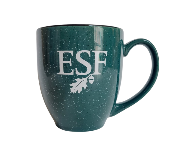 Bistro Mug