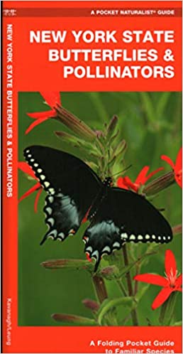 New York State Butterflies & Pollinators- A Pocket Naturalist Guide