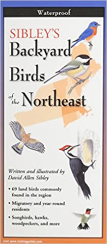 Backyard Birds of the Northeast