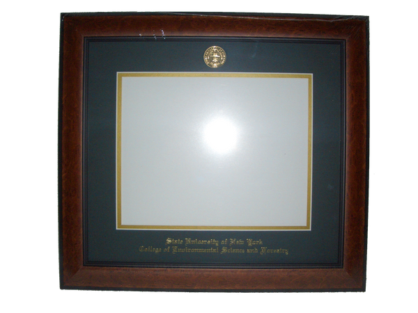 Landsdowne Diploma Frame