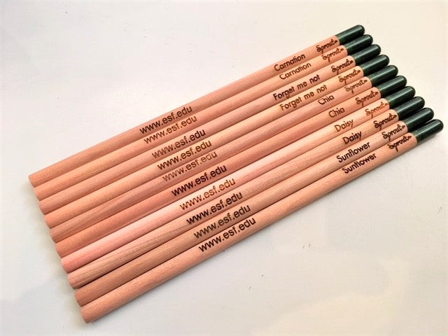 planting seed pencils Sprout Pencil