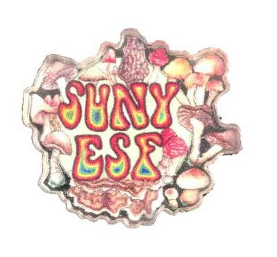 Acrylic Mushroom Pin